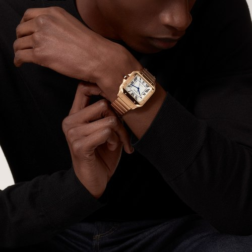 Large cartier santos 2025